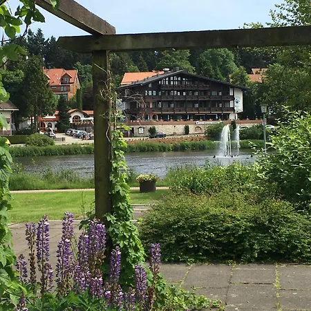 Ferienhaus-sehnsucht-harz-das-haisel 고슬라르