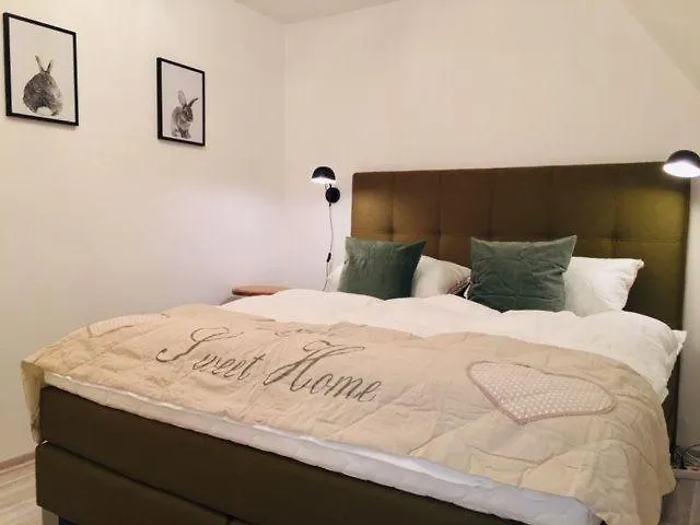 Ferienhaus-sehnsucht-harz-das-haisel Holiday home