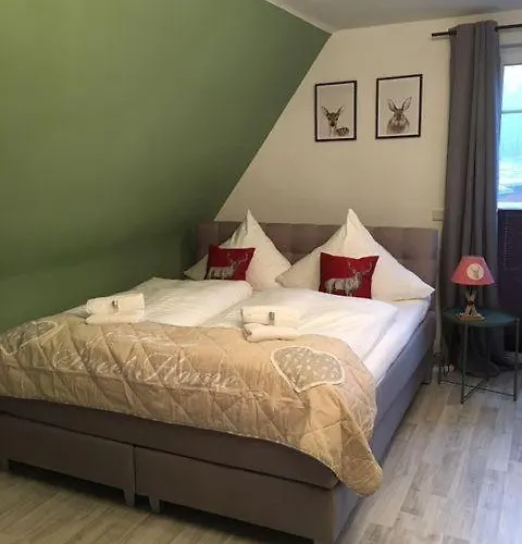 Ferienhaus-sehnsucht-harz-das-haisel Holiday home Goslar