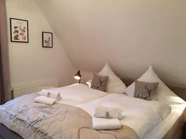 Ferienhaus-sehnsucht-harz-das-haisel Holiday home